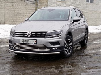 Декоративная вставка переднего бампера (без парктроников) ТСС Тюнинг Volkswagen (Волксваген) Tiguan (Тигуан)  Mk2 (2016-2020) Mk2 дорестайлинг