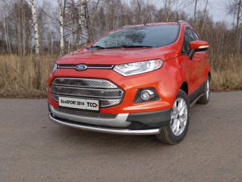 Защита переднего бампера нижняя d60,3 мм ТСС Тюнинг Ford EcoSport дорестайлинг (2013-2019)  (нержавейка)