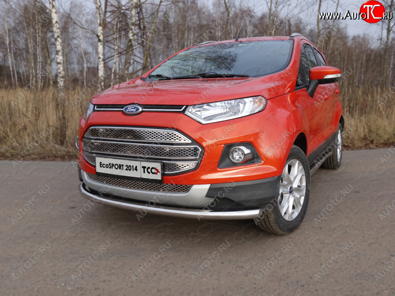 12 999 р. Защита переднего бампера нижняя d60,3 мм ТСС Тюнинг Ford EcoSport дорестайлинг (2013-2019) (нержавейка)  с доставкой в г. Йошкар-Ола