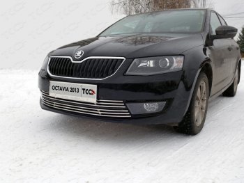 Декоративная вставка переднего бампера ТСС Тюнинг Skoda Octavia A7 дорестайлинг лифтбэк (2012-2017) ()