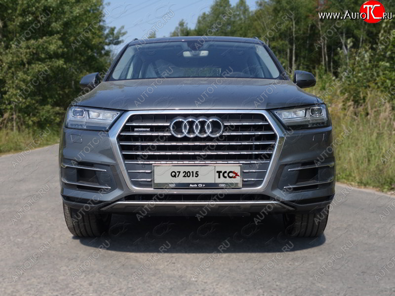 6 449 р. Рамка гос. номера ТСС Тюнинг  Audi Q7  4M (2015-2020) дорестайлинг (нержавейка)  с доставкой в г. Йошкар-Ола