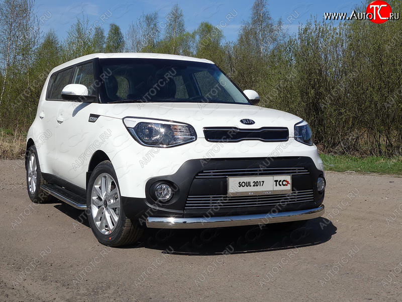 6 199 р. Рамка гос. номера ТСС Тюнинг KIA Soul PS рестайлинг (2017-2019) (нержавейка)  с доставкой в г. Йошкар-Ола