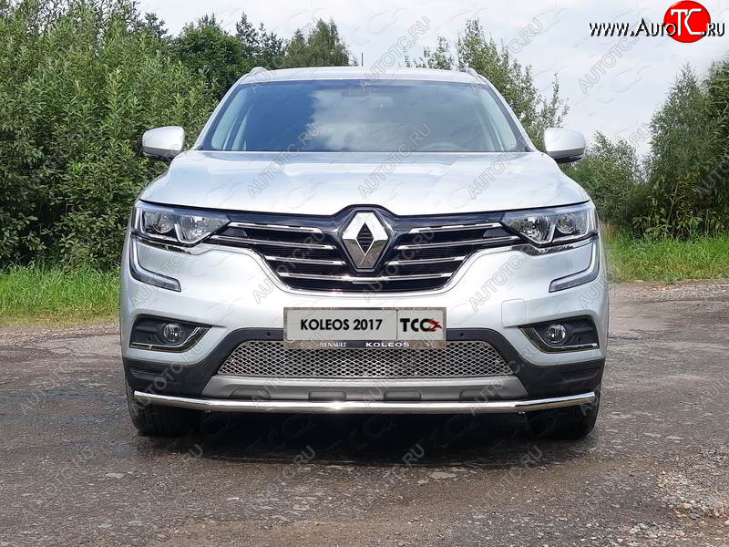 6 449 р. Рамка гос. номера ТСС Тюнинг  Renault Koleos  2 (2016-2024) (нержавейка)  с доставкой в г. Йошкар-Ола