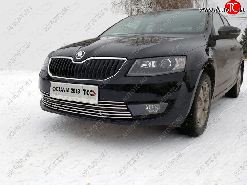 6 449 р. Рамка гос. номера ТСС Тюнинг  Skoda Octavia  A7 (2012-2017) дорестайлинг лифтбэк, дорестайлинг универсал (нержавейка)  с доставкой в г. Йошкар-Ола