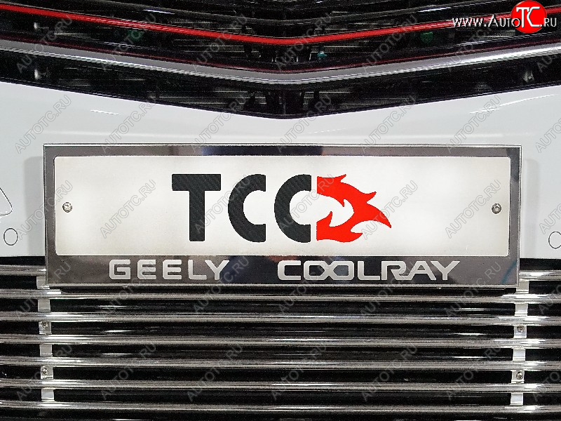 4 999 р. Рамка гос. номера ТСС Тюнинг Geely Coolray SX11 дорестайлинг (2018-2023) (нержавейка)  с доставкой в г. Йошкар-Ола