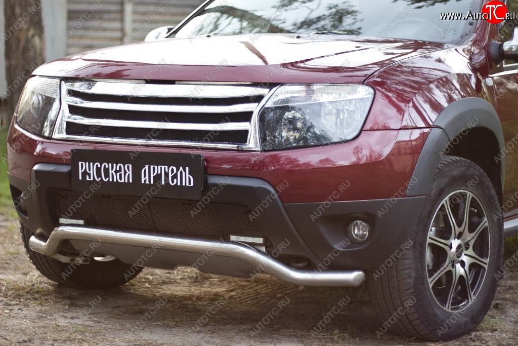 2 179 р. Защитная сетка решетки переднего бампера (c дхо и обвесом) РА Renault Duster HS дорестайлинг (2010-2015)  с доставкой в г. Йошкар-Ола