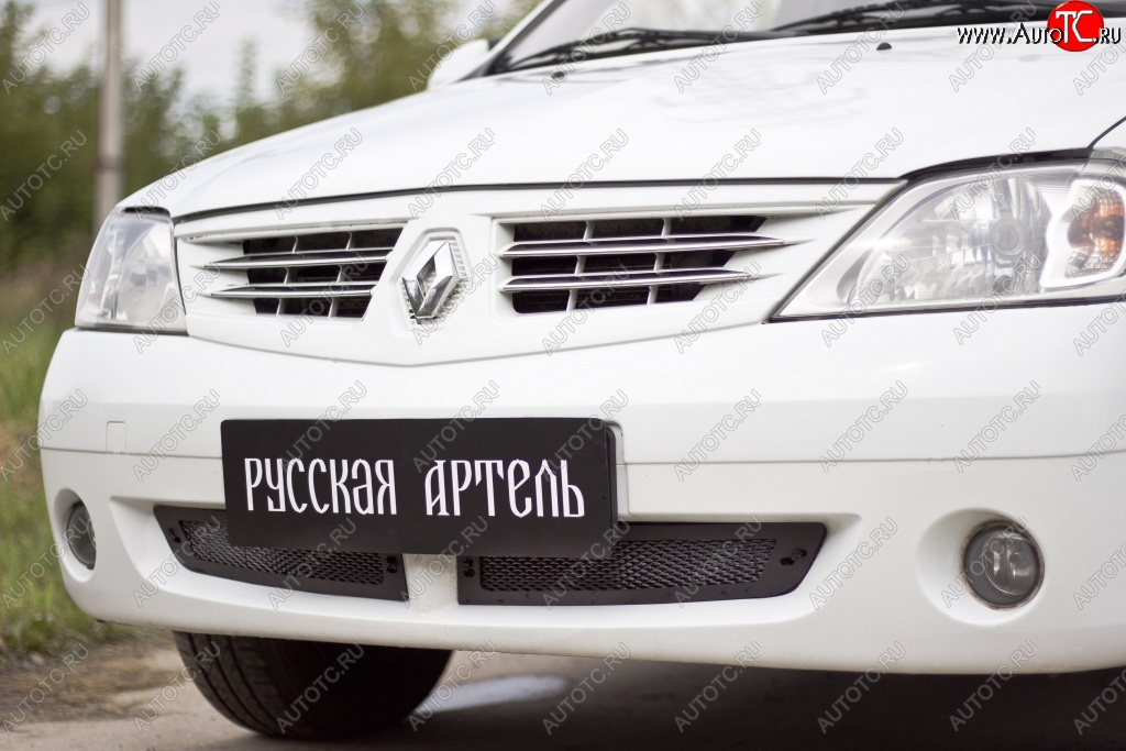 1 799 р. Защитная сетка решетки переднего бампера РА Renault Logan 1 дорестайлинг (2004-2010)  с доставкой в г. Йошкар-Ола