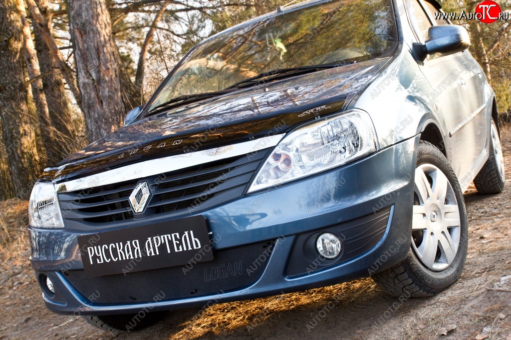 969 р. Защитная сетка решетки переднего бампера РА  Renault Logan  1 (2010-2016) рестайлинг  с доставкой в г. Йошкар-Ола