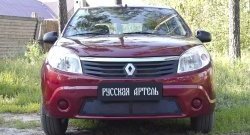 1 799 р. Защитная сетка решетки переднего бампера РА Renault Sandero (BS) (2009-2014)  с доставкой в г. Йошкар-Ола. Увеличить фотографию 2