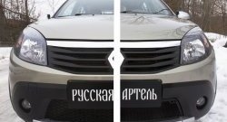 2 149 р. Защитная сетка решетки переднего бампера РА Renault Sandero Stepway (BS) (2010-2014)  с доставкой в г. Йошкар-Ола. Увеличить фотографию 2