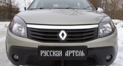 2 149 р. Защитная сетка решетки переднего бампера РА Renault Sandero Stepway (BS) (2010-2014)  с доставкой в г. Йошкар-Ола. Увеличить фотографию 3