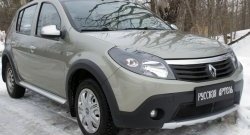 2 149 р. Защитная сетка решетки переднего бампера РА Renault Sandero Stepway (BS) (2010-2014)  с доставкой в г. Йошкар-Ола. Увеличить фотографию 4