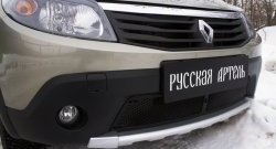 Защитная сетка решетки переднего бампера РА Renault Sandero Stepway (BS) (2010-2014)