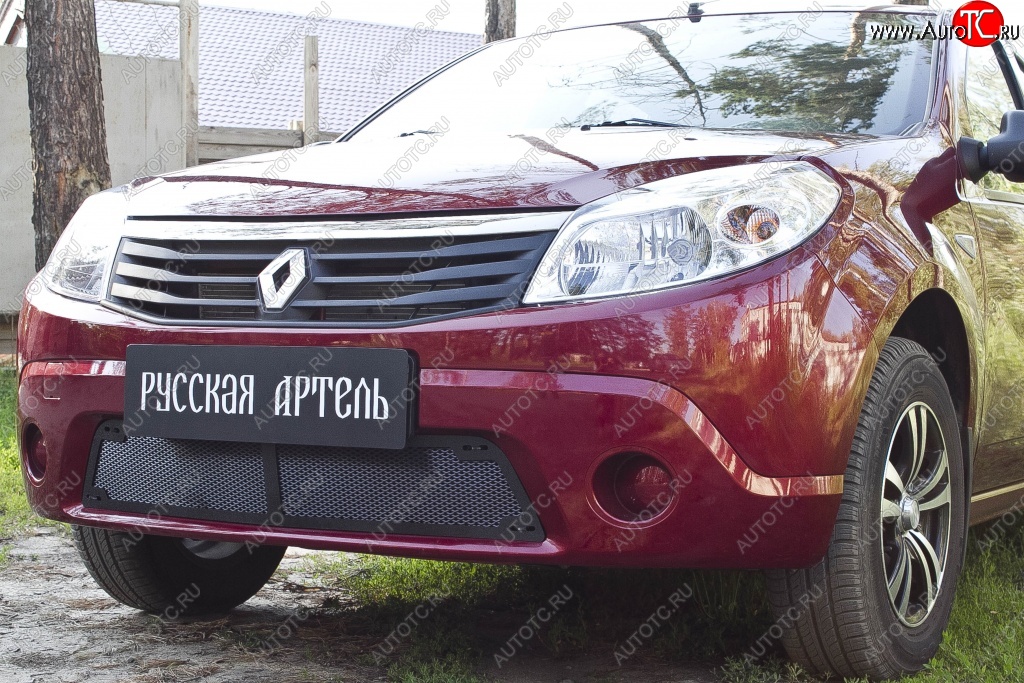 1 799 р. Защитная сетка решетки переднего бампера РА Renault Sandero (BS) (2009-2014)  с доставкой в г. Йошкар-Ола