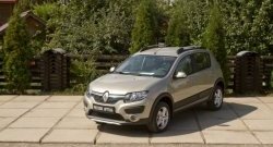 4 699 р. Молдинги дверей RA (комплект) Renault Sandero (B8) дорестайлинг (2014-2018) (Поверхность глянец (под окраску), Неокрашенные)  с доставкой в г. Йошкар-Ола. Увеличить фотографию 2