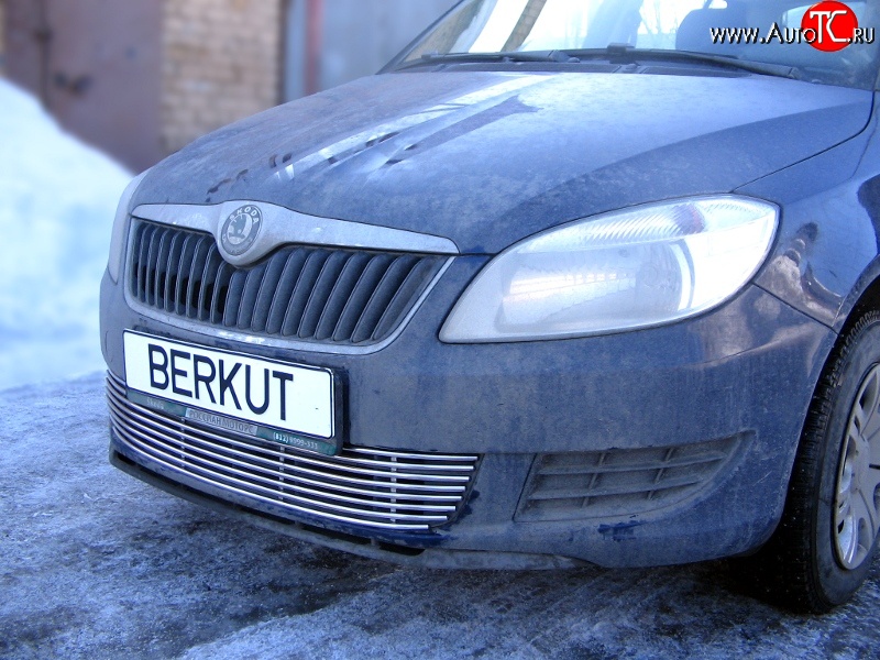 5 899 р. Декоративная вставка воздухозаборника Berkut Skoda Fabia Mk2 хэтчбэк дорестайлинг (2007-2010)  с доставкой в г. Йошкар-Ола