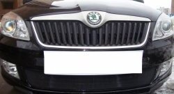 1 469 р. Сетка на бампер (рестайлинг) Russtal (черная) Skoda Fabia Mk2 универсал дорестайлинг (2007-2010)  с доставкой в г. Йошкар-Ола. Увеличить фотографию 4