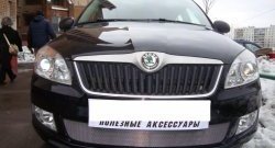 1 539 р. Сетка на бампер (рестайлинг) Russtal (хром) Skoda Fabia Mk2 хэтчбэк дорестайлинг (2007-2010)  с доставкой в г. Йошкар-Ола. Увеличить фотографию 2