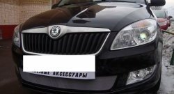 1 539 р. Сетка на бампер (рестайлинг) Russtal (хром) Skoda Fabia Mk2 хэтчбэк дорестайлинг (2007-2010)  с доставкой в г. Йошкар-Ола. Увеличить фотографию 4