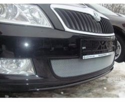 1 539 р. Сетка на бампер (рестайлинг) Russtal (хром) Skoda Fabia Mk2 хэтчбэк дорестайлинг (2007-2010)  с доставкой в г. Йошкар-Ола. Увеличить фотографию 1