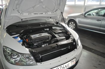 2 049 р. Упоры капота Russtal  Skoda Octavia  A5 (2004-2008) дорестайлинг лифтбэк, дорестайлинг универсал (1 штука)  с доставкой в г. Йошкар-Ола. Увеличить фотографию 1