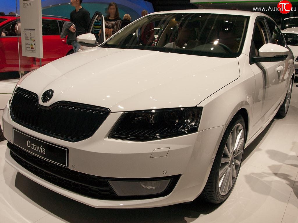 2 569 р. Сетка (для комплектации Ambition, Elegance) на бампер Russtal (черная) Skoda Octavia A7 дорестайлинг универсал (2012-2017)  с доставкой в г. Йошкар-Ола