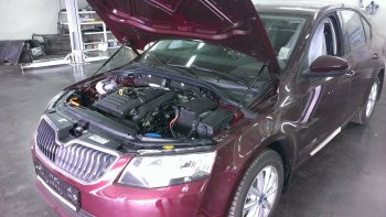 Упоры капота Russtal Skoda Octavia A7 дорестайлинг универсал (2012-2017)