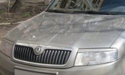 1 649 р. Реснички на фары CT Skoda Superb седан 3U дорестайлинг (2001-2006) (Неокрашенные)  с доставкой в г. Йошкар-Ола. Увеличить фотографию 2