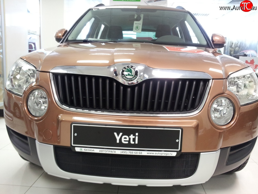 1 469 р. Сетка на бампер Russtal (черная) Skoda Yeti (2009-2013)  с доставкой в г. Йошкар-Ола