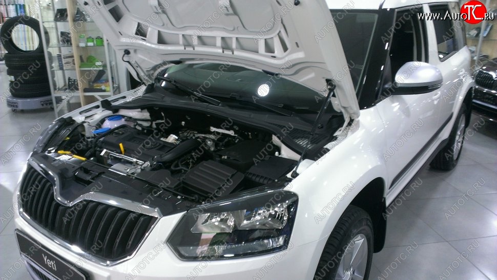 2 199 р. Газовый упор капота Berkut Skoda Yeti (2009-2013)  с доставкой в г. Йошкар-Ола