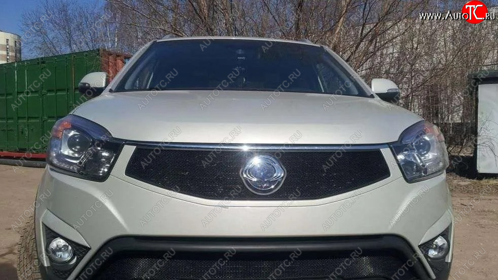 1 469 р. Защитная сетка в решетку радиатора Russtal  SSANGYONG Actyon (2013-2021) рестайлинг  с доставкой в г. Йошкар-Ола