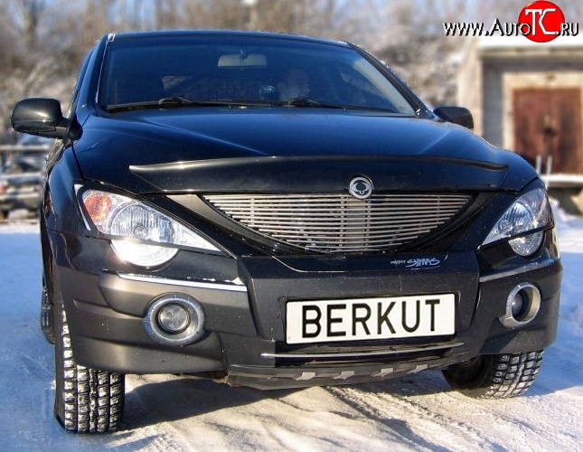 5 999 р. Декоративная вставка решетки радиатора Berkut SSANGYONG Actyon Sport (2006-2011)  с доставкой в г. Йошкар-Ола