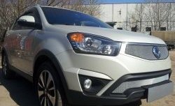 1 539 р. Сетка в решетку радиатора Russtal SSANGYONG Actyon рестайлинг (2013-2021) (хром)  с доставкой в г. Йошкар-Ола. Увеличить фотографию 2