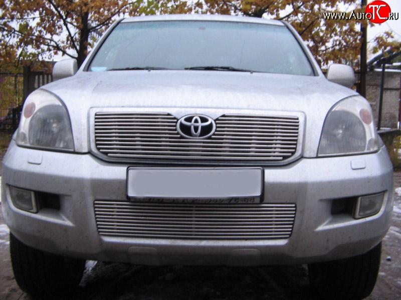 4 399 р. Декоративная вставка воздухозаборника Berkut Toyota Land Cruiser Prado J120 (2002-2009)  с доставкой в г. Йошкар-Ола