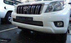 1 539 р. Сетка на бампер Russtal (хром) Toyota Land Cruiser Prado J150 дорестайлинг (2009-2013)  с доставкой в г. Йошкар-Ола. Увеличить фотографию 2