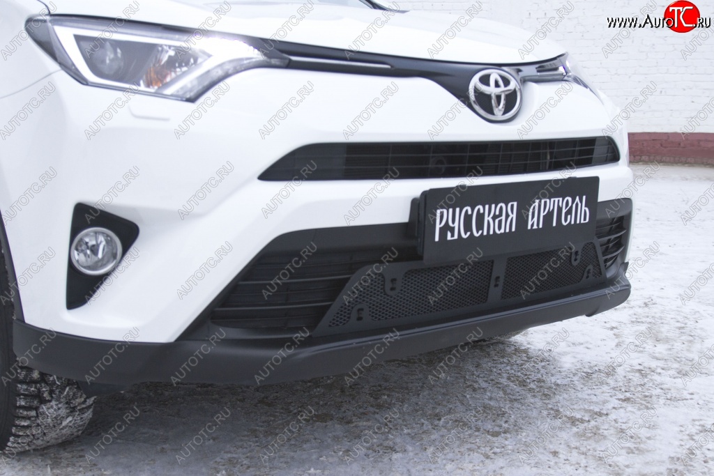 1 689 р. Защитная сетка решетки переднего бампера РА Toyota RAV4 XA40 5 дв. рестайлинг (2015-2019)  с доставкой в г. Йошкар-Ола