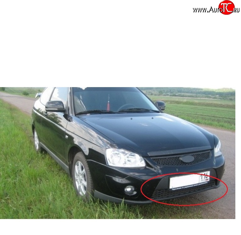 419 р. Решетка бампера 21728 Priora Sport нижняя Лада Приора 2170 седан дорестайлинг (2007-2014)  с доставкой в г. Йошкар-Ола