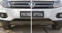 1 639 р. Защитная сетка решетки переднего бампера (Track & Field) РА Volkswagen Tiguan NF рестайлинг (2011-2017)  с доставкой в г. Йошкар-Ола. Увеличить фотографию 4